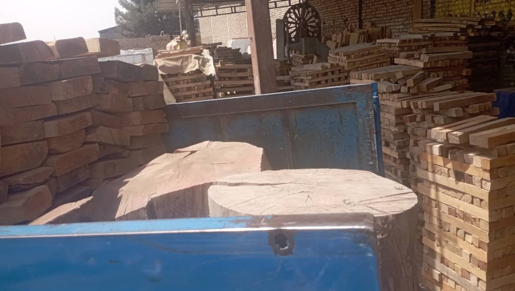 تنوع بی‌نظیر چوب‌ها